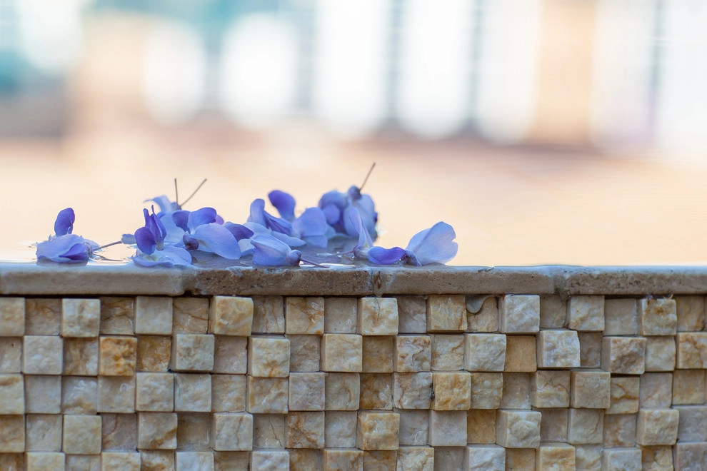 Wisteria by Artisan Home Resorts - Photo 17
