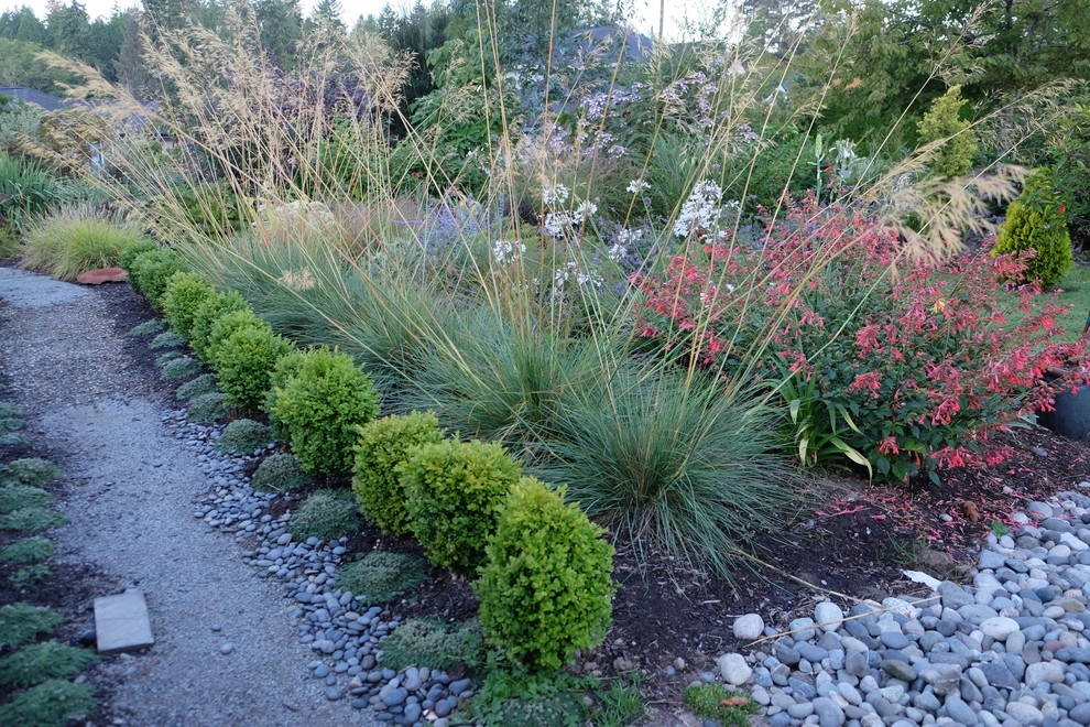 Borders by Plantswoman Design - Photo 7