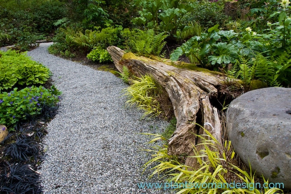 Rolling Bay by Plantswoman Design - Photo 3