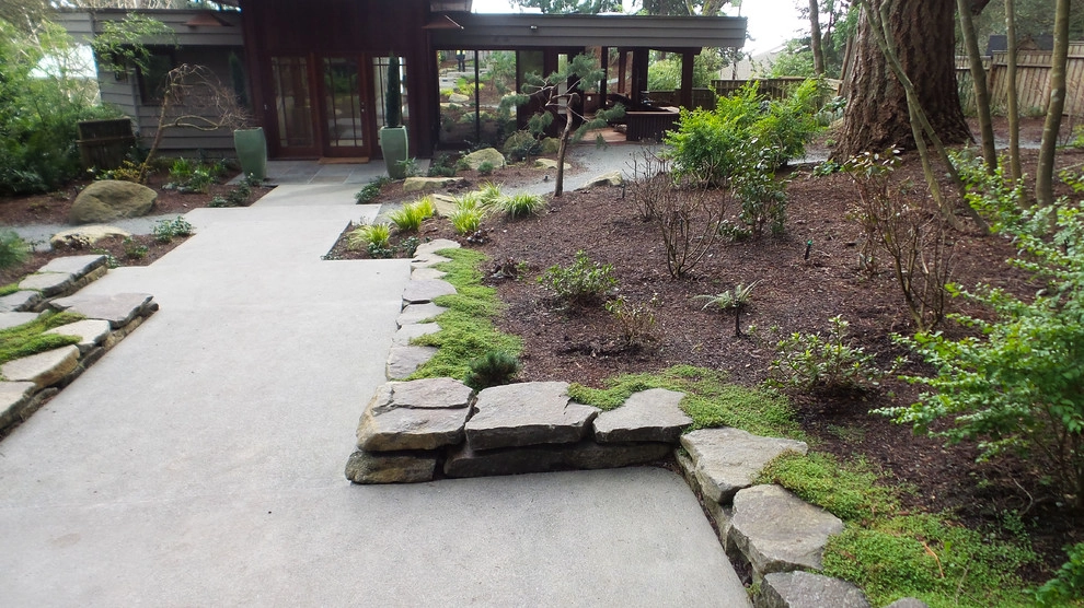 Ferncliff by Plantswoman Design - Photo 3