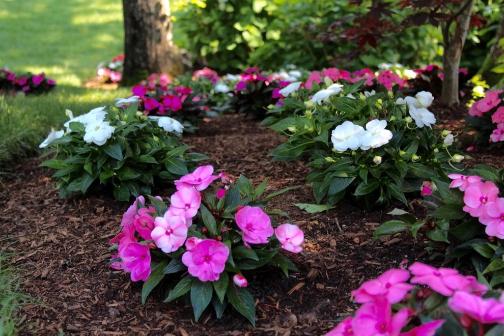 Landscaping by Ponderosa Landscaping & Stonework - Photo 31