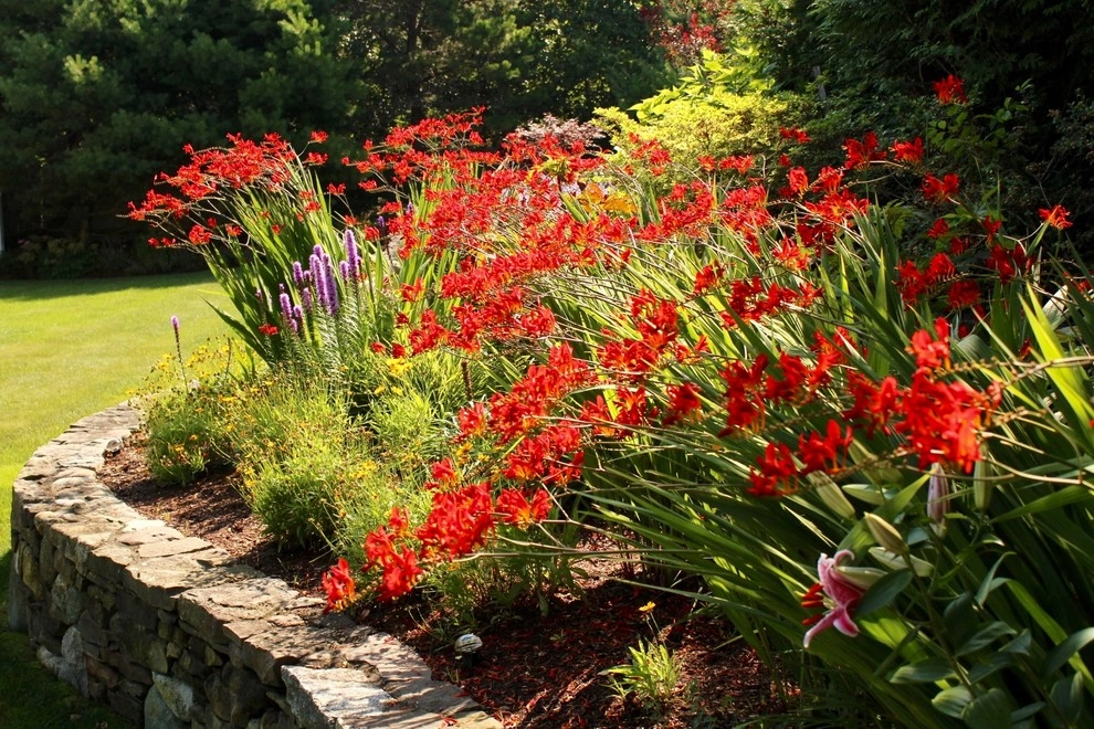 Chatham home by Ponderosa Landscaping & Stonework - Photo 4