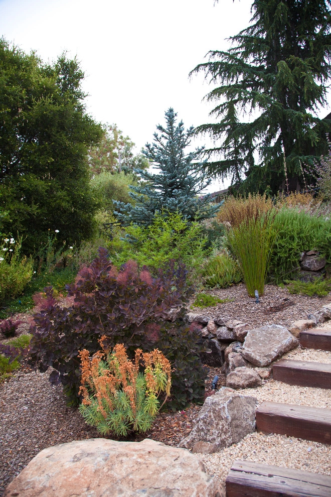 Custom Rock Formations by Artisan Home Resorts - Photo 25