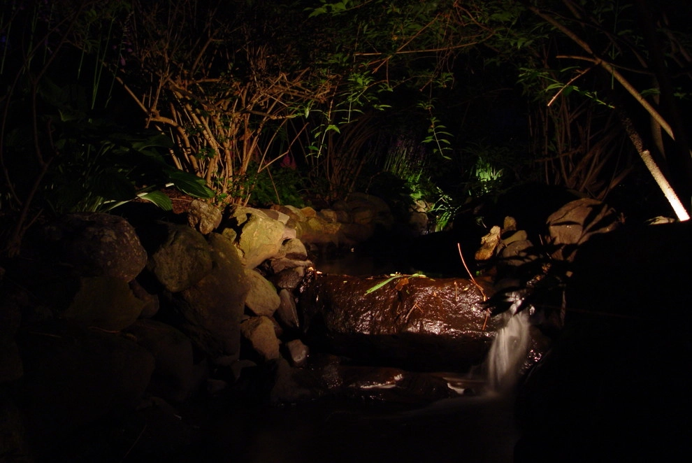 Woody Landscape by Artisan Landscapes And Pools - Photo 17