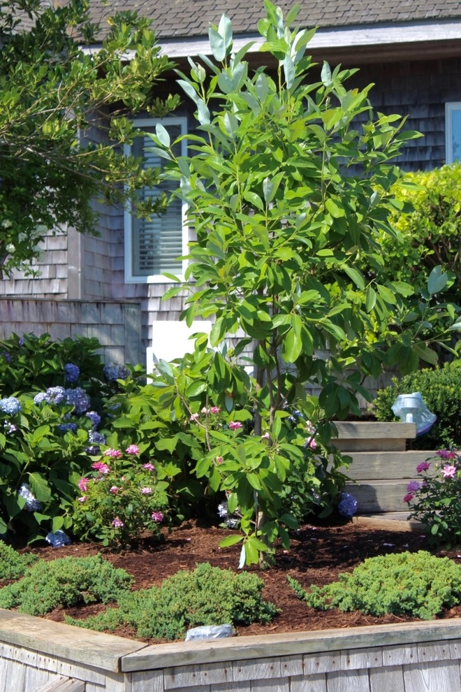 Truro Oceanside Home by Ponderosa Landscaping & Stonework - Photo 3