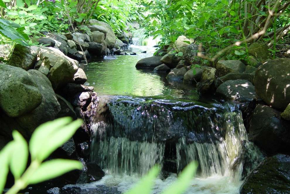 Woody Landscape by Artisan Landscapes And Pools - Photo 19