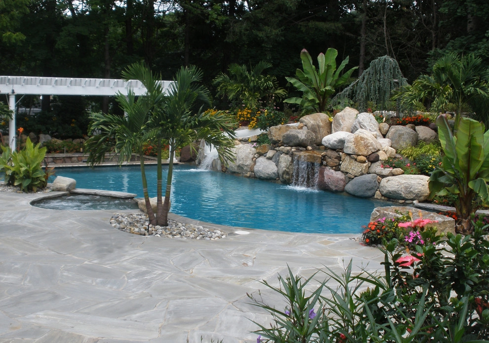 The Tropics in The Suburbs by Artisan Landscapes And Pools - Photo 4