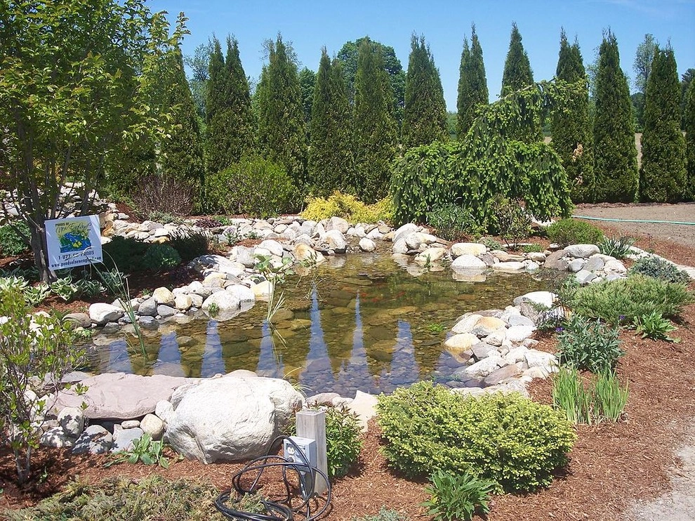 Portfolio by Ponds Of New England - Photo 15