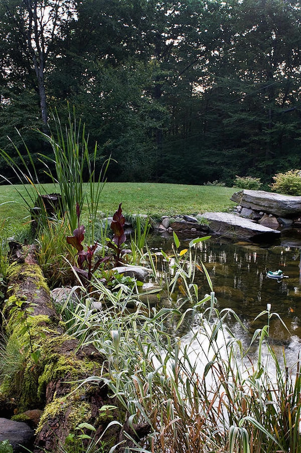 Ponds Of New England - Photo 8