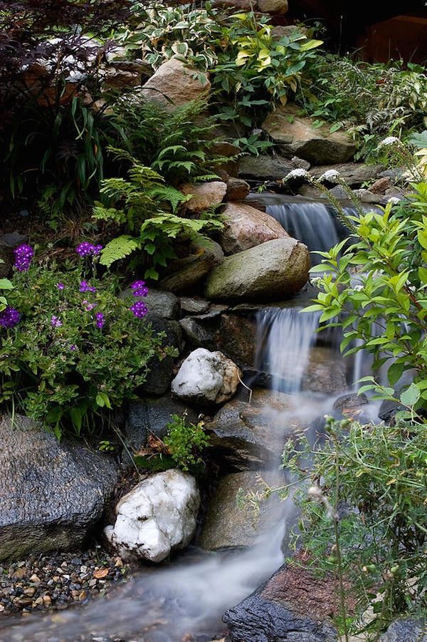 Ponds Of New England - Photo 7