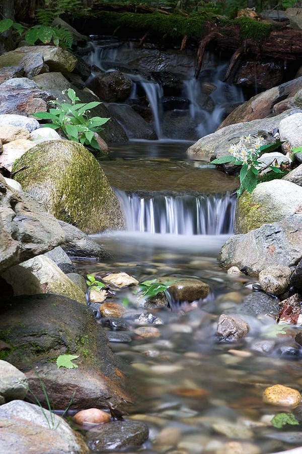 Portfolio by Ponds Of New England - Photo 16