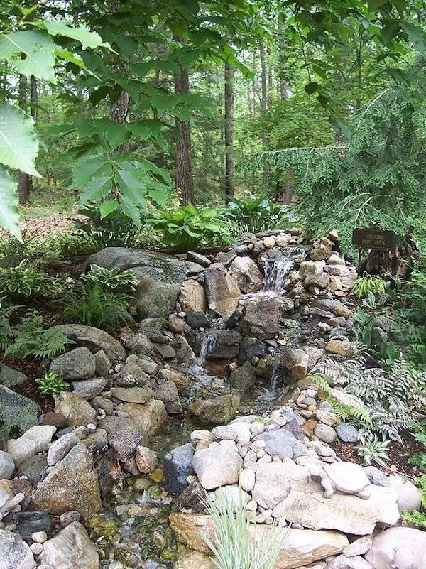 Ponds Of New England - Photo 5