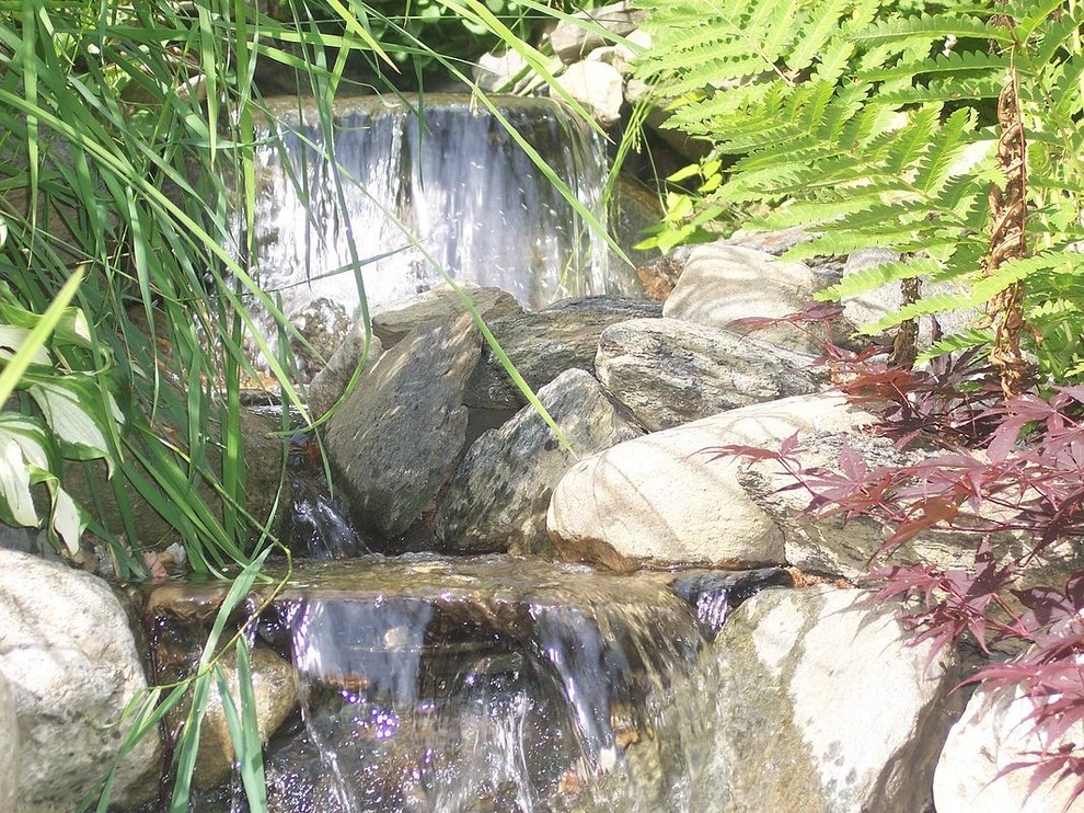 Ponds Of New England - Photo 10
