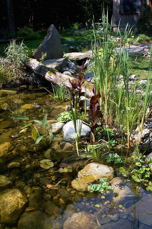 Ponds Of New England - Photo 12