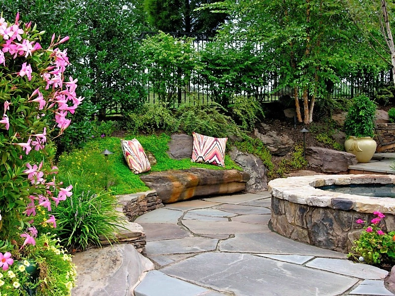 Pots & Plants - Photo 8