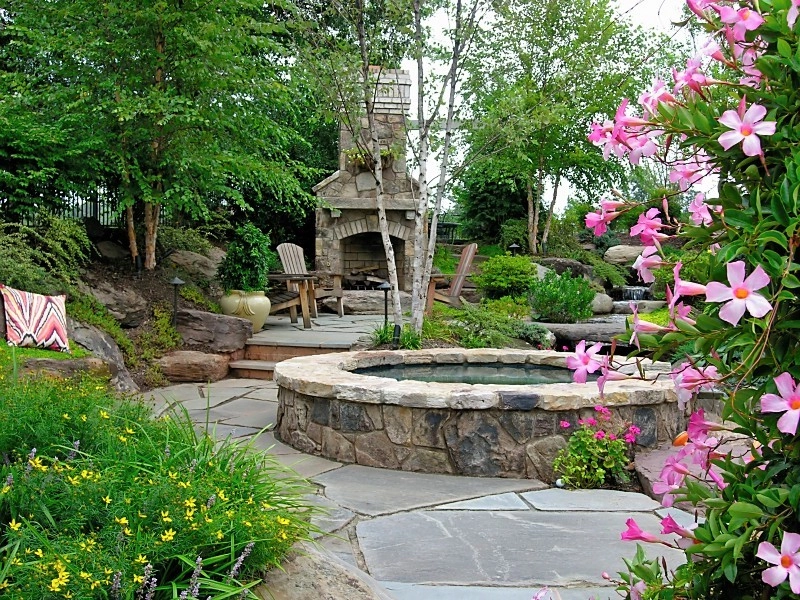 Pots & Plants - Photo 6