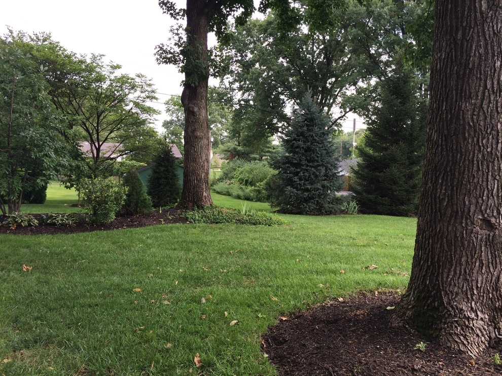 Westwood Pool Project - Before, During, & After Photos by Poynter Landscape Architecture & Construction - Photo 17