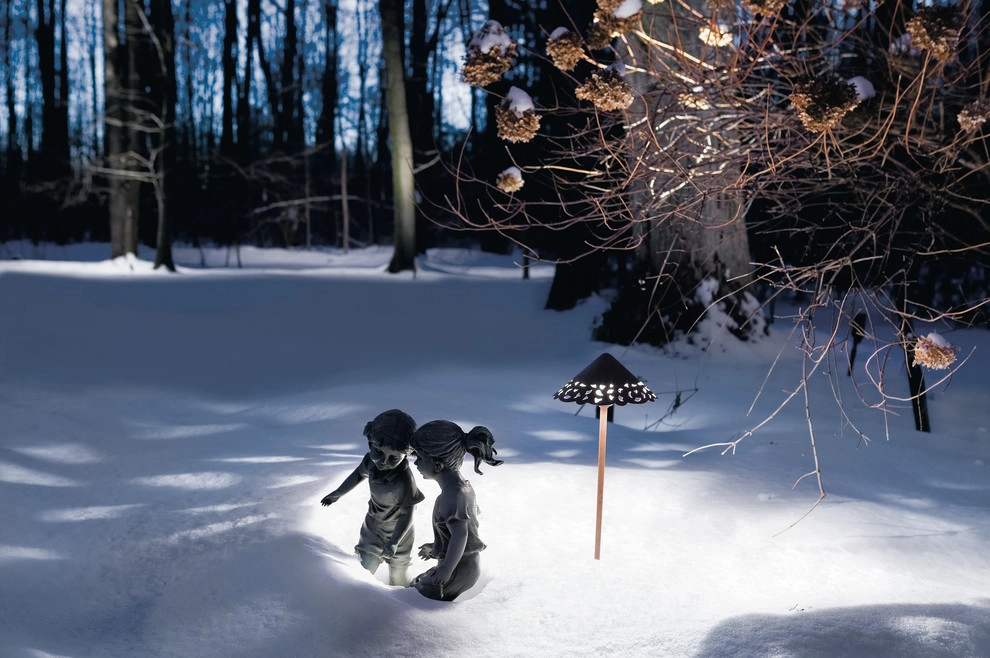 Landscape Lighting by Poynter Landscape Architecture & Construction - Photo 6