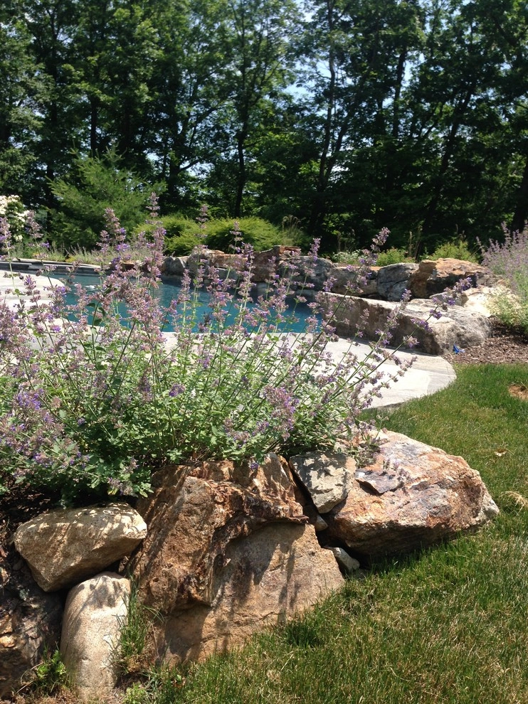 Rocky Terrain Pool and Patio by Artisan Landscapes And Pools - Photo 4