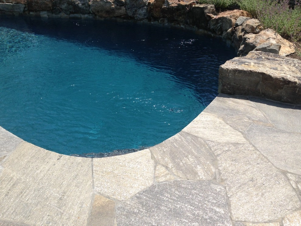 Rocky Terrain Pool and Patio by Artisan Landscapes And Pools - Photo 5