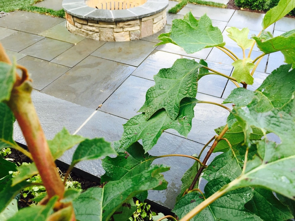 Bright Bluestone Patio with Oak Leaf Hydrangea Garden by Prairie Path Group - Photo 78