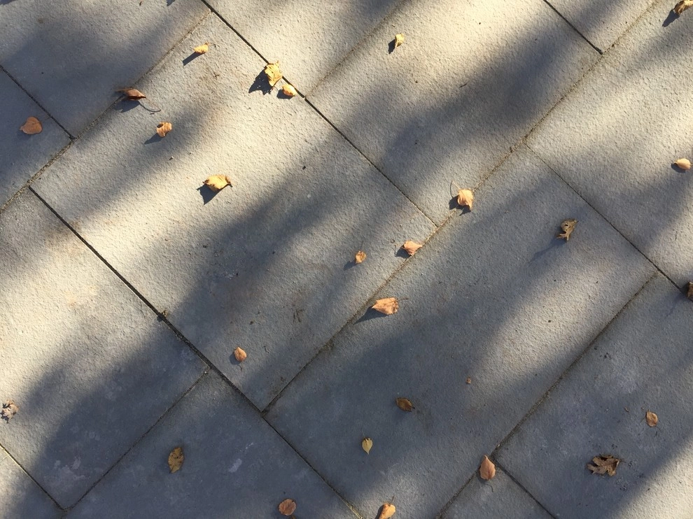 Elegant Bluestone Walkway on 45 Rotation by Prairie Path Group - Photo 10