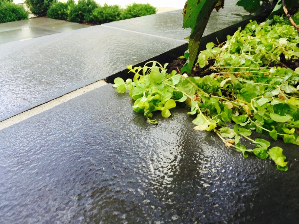 Bright Bluestone Patio with Oak Leaf Hydrangea Garden by Prairie Path Group - Photo 36