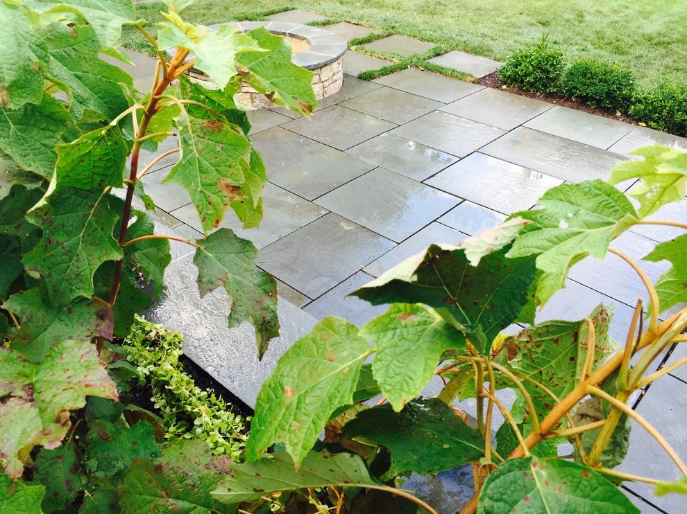 Bright Bluestone Patio with Oak Leaf Hydrangea Garden by Prairie Path Group - Photo 76
