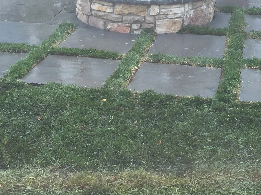 Bright Bluestone Patio with Oak Leaf Hydrangea Garden by Prairie Path Group - Photo 15