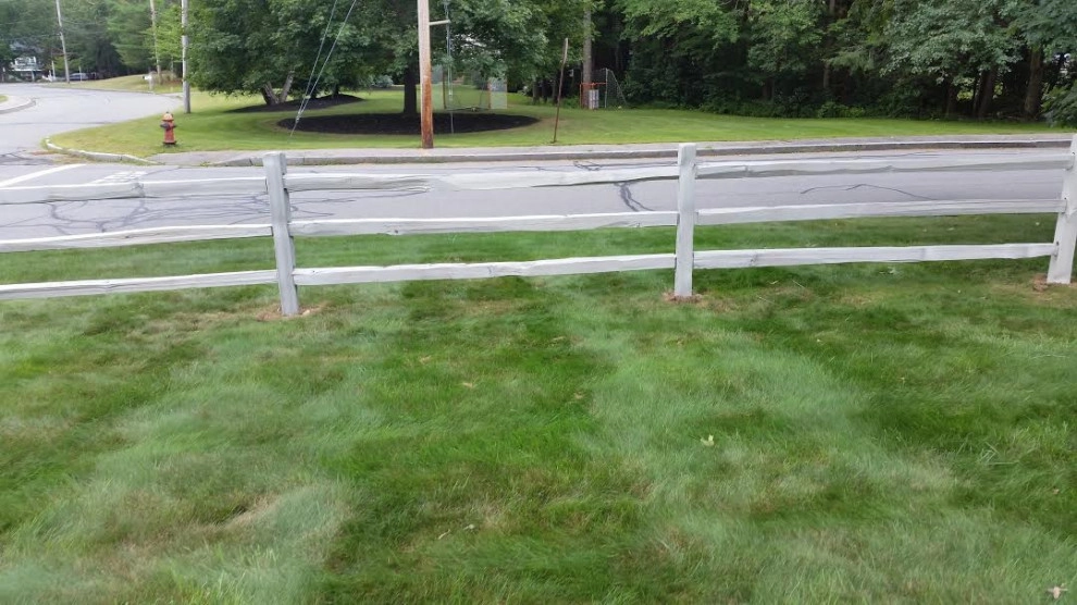 Landscaping by Presidential Park Landscape Inc. - Photo 15