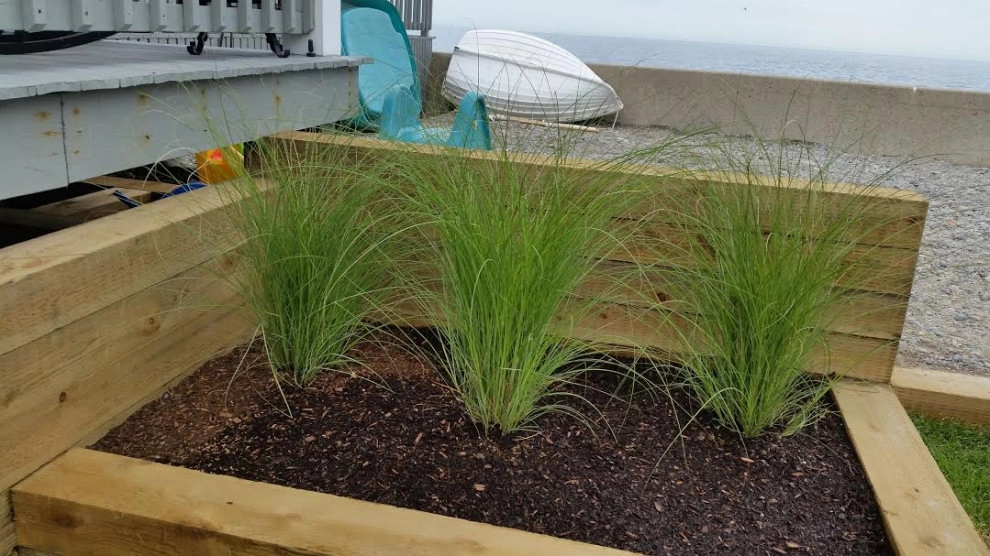 Landscaping by Presidential Park Landscape Inc. - Photo 13