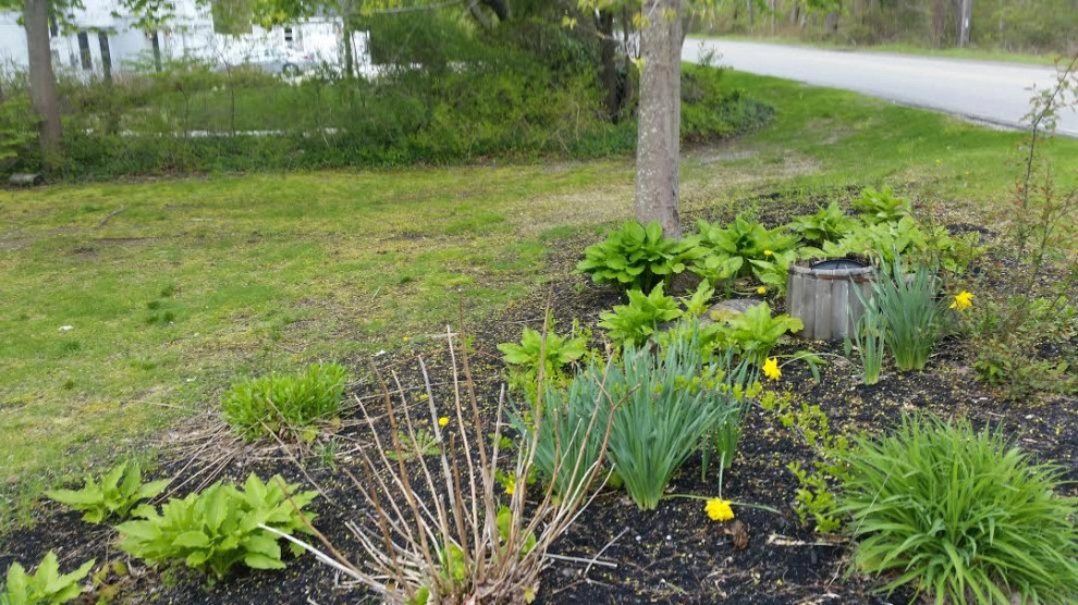 Landscaping by Presidential Park Landscape Inc. - Photo 8