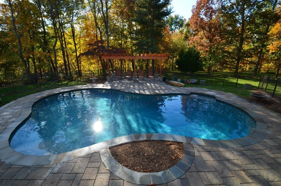 Fall In The Foothills by Iris Design Associates - Photo 6