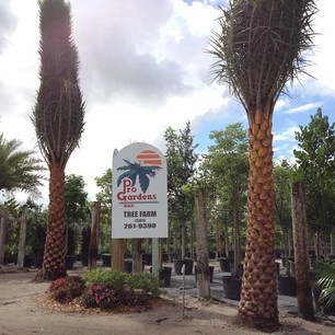 Pro Gardens and Friends Landscaping Inc. by Pro Gardens And Friends Landscaping Inc. - Photo 10