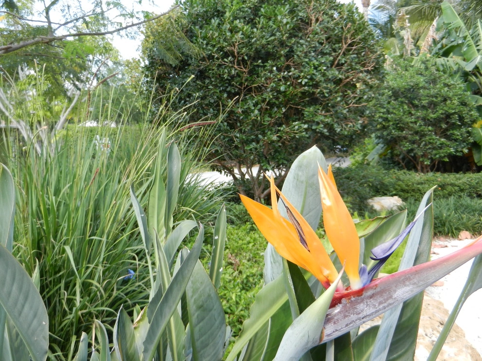 Pro Gardens And Friends Landscaping Inc. - Photo 8