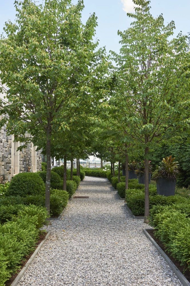 Landscape Design, Hardscapes & Tree Services by Purple Care - Photo 17