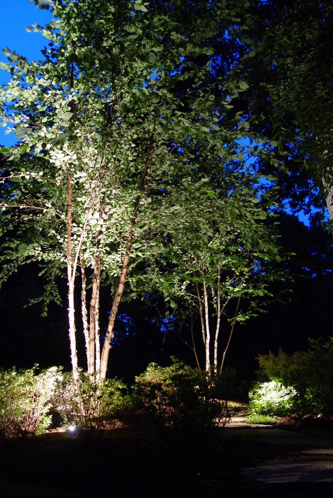 Woody Landscape by Artisan Landscapes And Pools - Photo 11