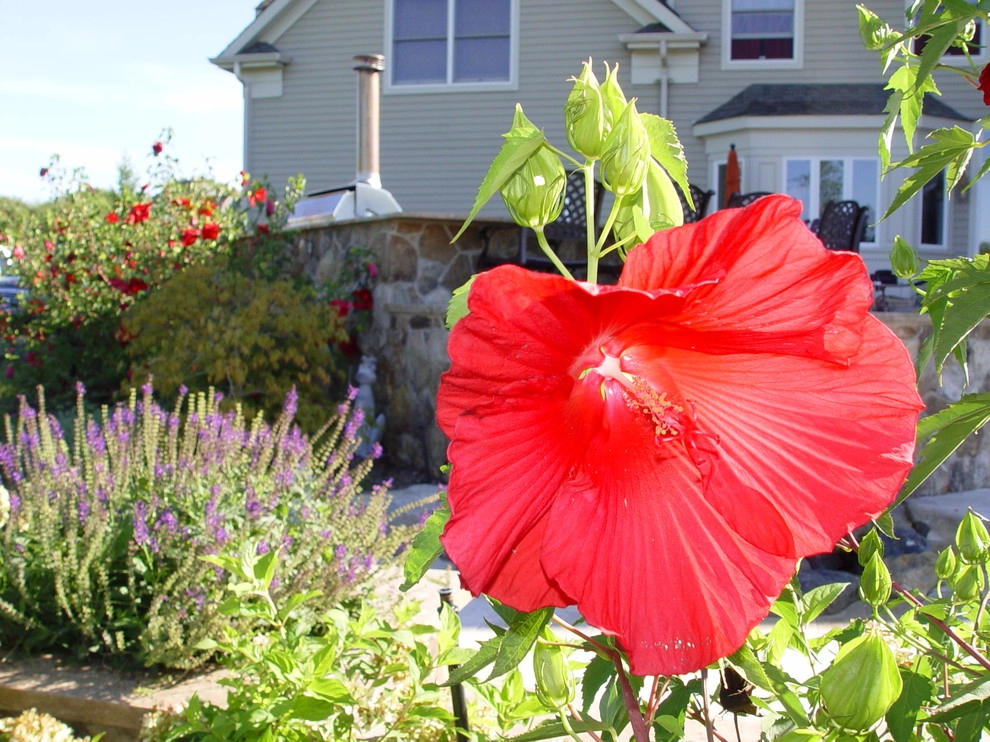 White House Station Patio, Kitchen and Landscape by Artisan Landscapes And Pools - Photo 13