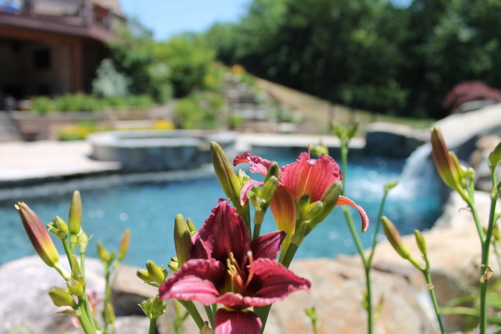 Mountain Top Resort by Artisan Landscapes And Pools - Photo 2