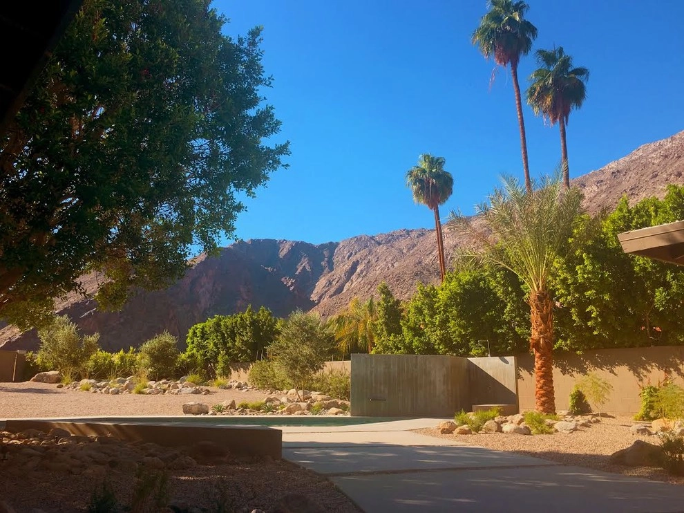 Desert Landscaping Project by Quality Green Landscaping - Photo 3
