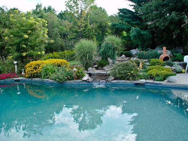 Pools by Ralph Williams Landscape Design - Photo 11