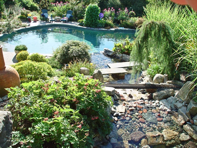 Pools by Ralph Williams Landscape Design - Photo 4
