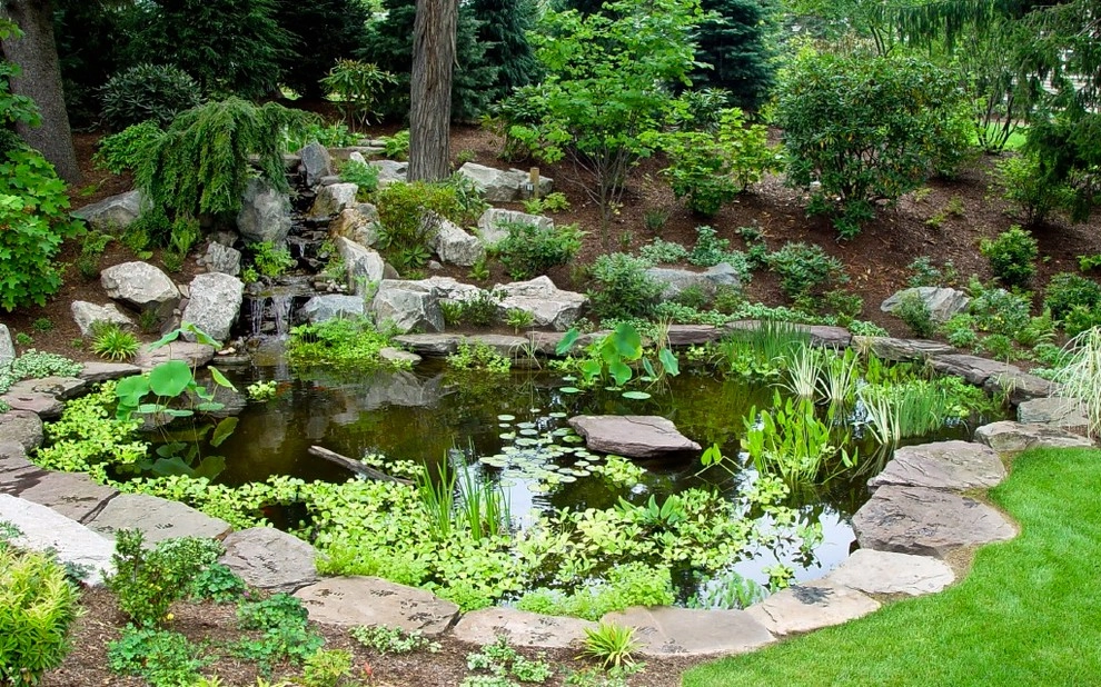 Ponds, Water Features by Ralph Williams Landscape Design - Photo 2