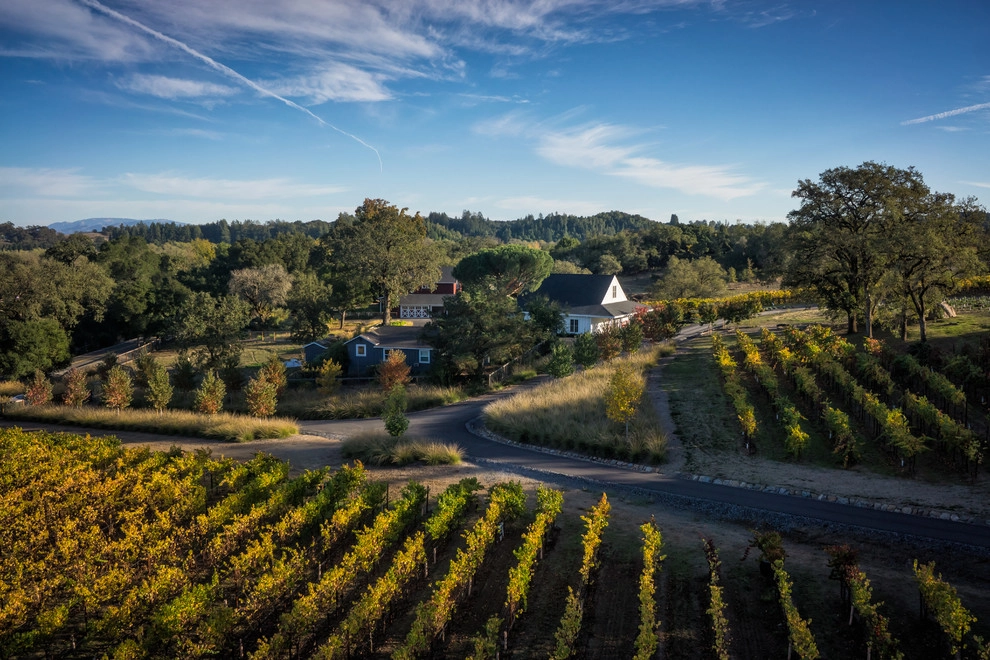Healdsburg 2 by Randy Thueme Design Inc. - Landscape Architecture - Photo 10