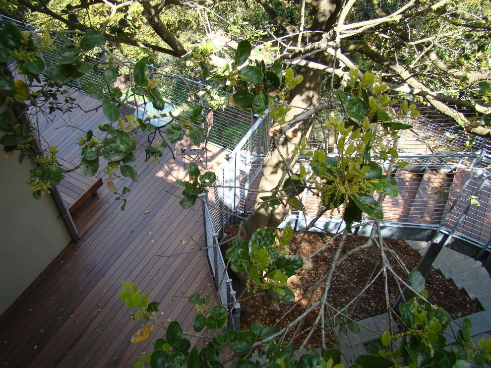 Oakland Hills by Randy Thueme Design Inc. - Landscape Architecture - Photo 4