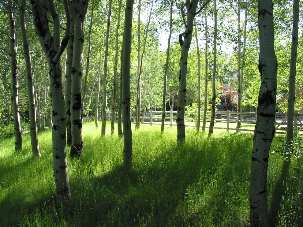 Sun Valley by Randy Thueme Design Inc. - Landscape Architecture - Photo 9