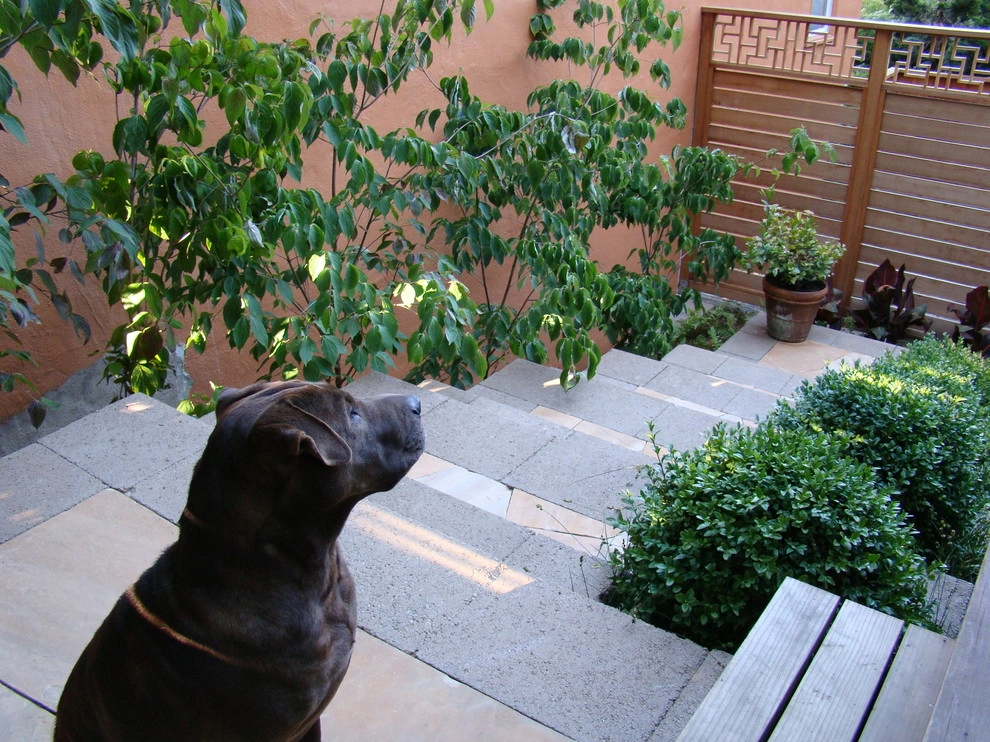 Noe Valley by Randy Thueme Design Inc. - Landscape Architecture - Photo 8