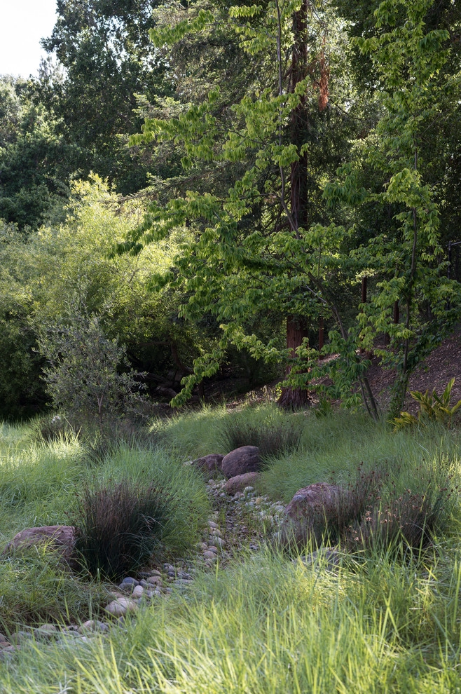 Los Altos Hills by Randy Thueme Design Inc. - Landscape Architecture - Photo 6