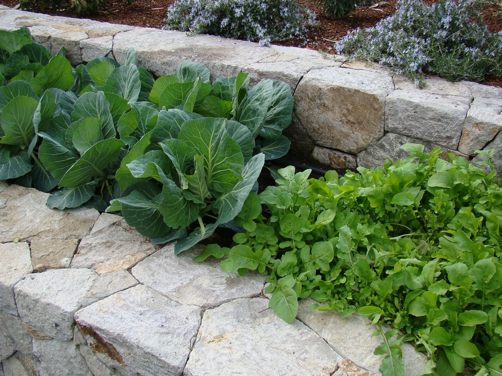 Oakland Estate by Randy Thueme Design Inc. - Landscape Architecture - Photo 13