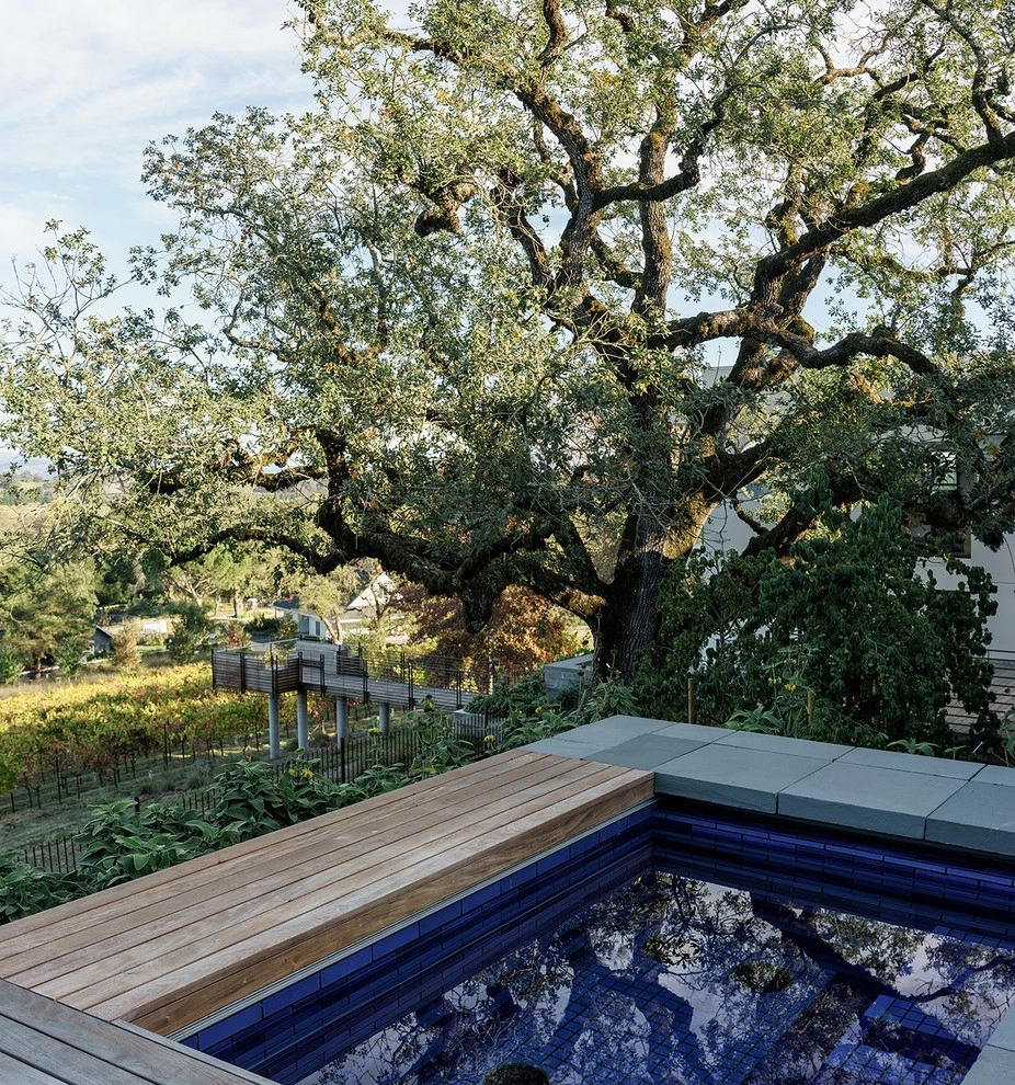 Healdsburg by Randy Thueme Design Inc. - Landscape Architecture - Photo 15
